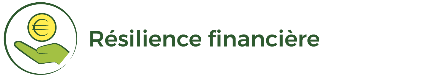 Résilience financière
